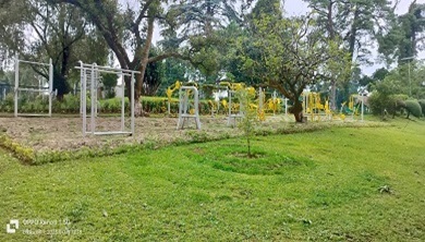 Open-Air Gyms